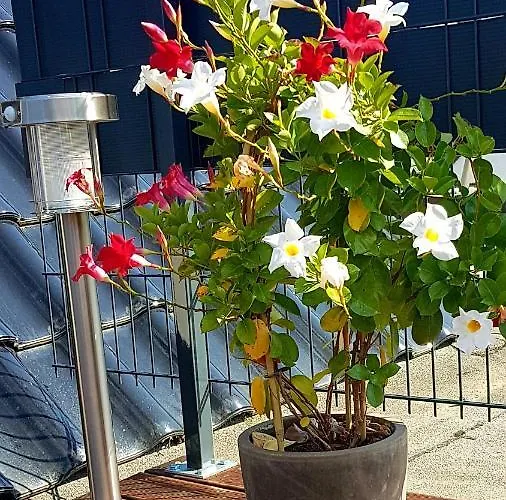 Zwei Schicke Mit Parkplatz 아파트