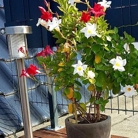 Zwei Schicke Mit Parkplatz דירה